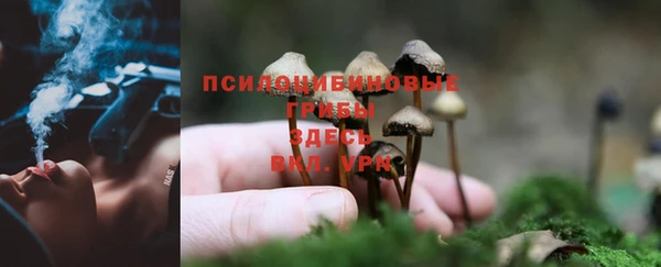 мет Аркадак