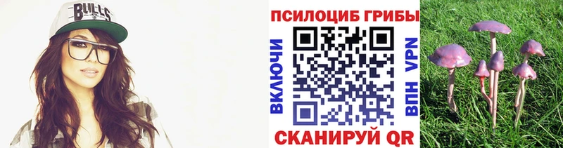 Псилоцибиновые грибы Psilocybe  Буй 